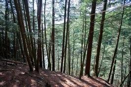 Witches Gulch Trail Pictures