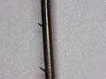 Photo of a fishing hook "Shank Barbs" Photo of a fishing hook "Shank Barbs"