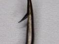 Photo of a barb at the tip of a fishing hook Photo of a barb at the tip of a fishing hook