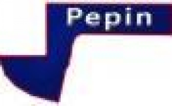 Pepin County, Wisconsin Real Estate for Sale