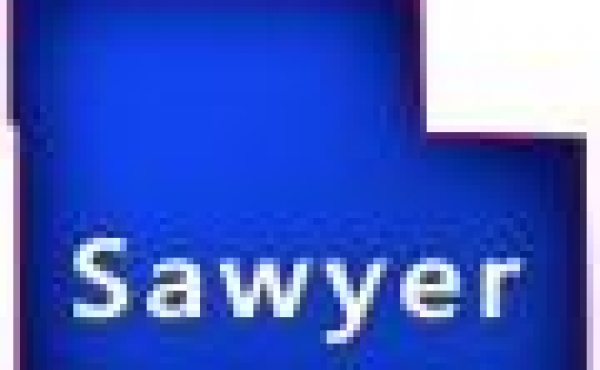 Sawyer County, Wisconsin Real Estate for Sale