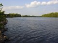 Picture of Wisconsin River just south of Wisconsin Rapids