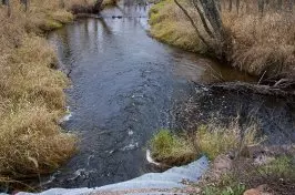 Photos of Trout Fishing